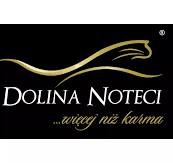 DOLINA NOTECI